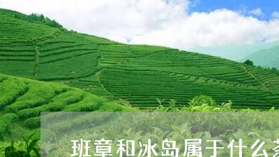 班章和冰岛属于什么茶/2023092431525