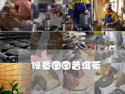 班章图图普洱茶/2023081880537