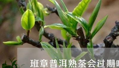 班章普洱熟茶会过期吗/2023092546340