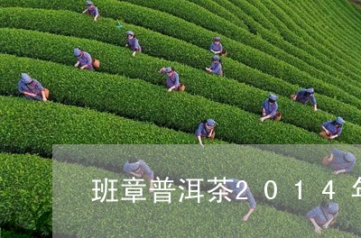 班章普洱茶2014年/2023062916272