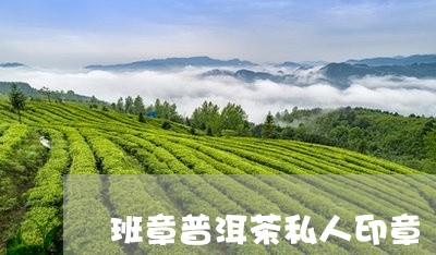 班章普洱茶私人印章/2023062466162