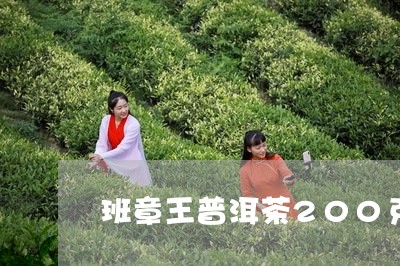 班章王普洱茶200克/2023061930714