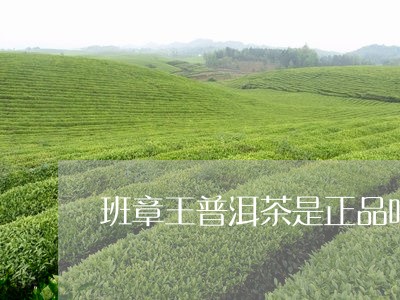 班章王普洱茶是正品吗/2023072173938