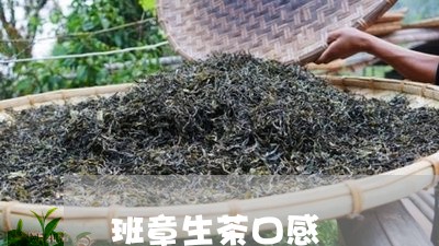 班章生茶口感/2023090783704