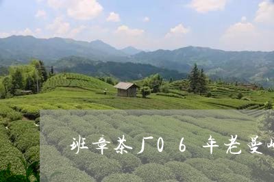 班章茶厂06年老曼峨越陈越香/2023053127251