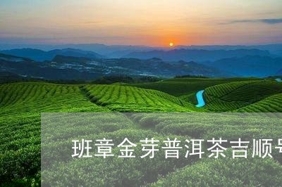 班章金芽普洱茶吉顺号/2023072291814