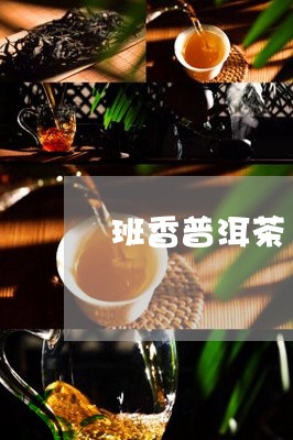 班香普洱茶/2023090660503