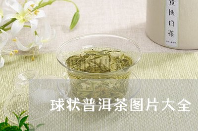 球状普洱茶图片大全/2023091336927