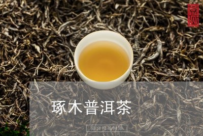 琢木普洱茶/2023090572758