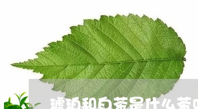 琥珀和白茶是什么茶叶啊/2023102745160