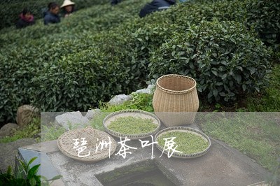 琶洲茶叶展/2023041745059