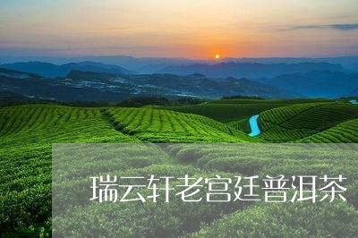 瑞云轩老宫廷普洱茶/2023120590503