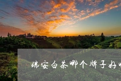 瑞安白茶哪个牌子好喝点/2023063007159