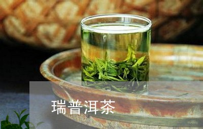 瑞普洱茶/2023110884737