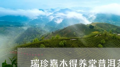 瑞珍嘉木得养堂普洱茶/2023093025259