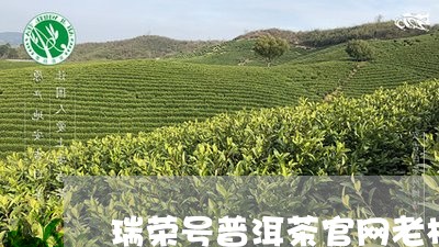 瑞荣号普洱茶官网老板/2023092811026