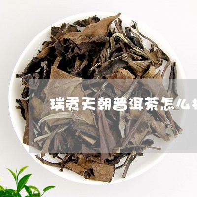 瑞贡天朝普洱茶怎么样/2023061826260