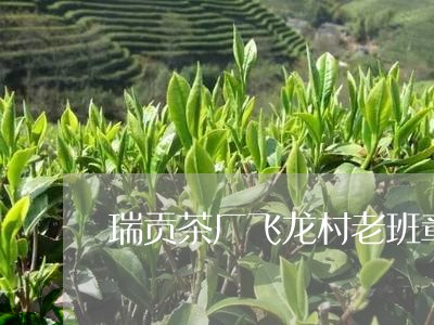 瑞贡茶厂飞龙村老班章/2023092423915