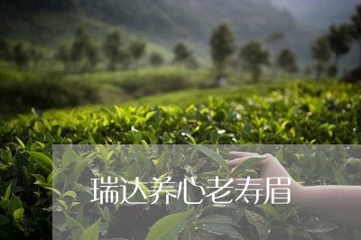 瑞达养心老寿眉/2023060364926