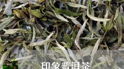 瑧印象普洱茶/2023042683006