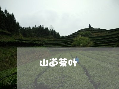 瑧山道茶叶/2023041718504