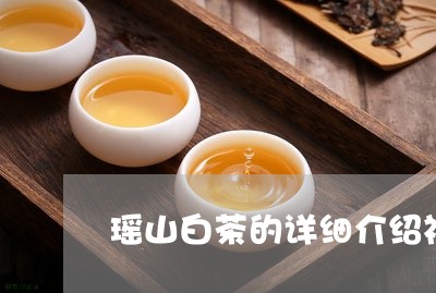 瑶山白茶的详细介绍视频/2023102704360