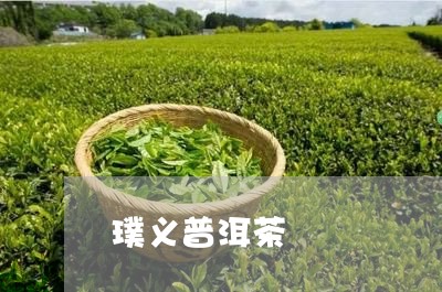 璞义普洱茶/2023090683804