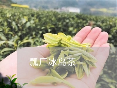 瓢厂冰岛茶/2023041863372