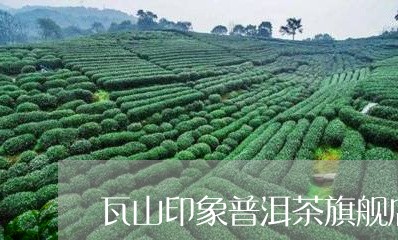 瓦山印象普洱茶旗舰店/2023062026027