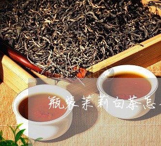 瓶装茉莉白茶怎么泡茶好/2023102765927