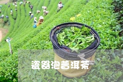 瓷器泡普洱茶/2023042876176