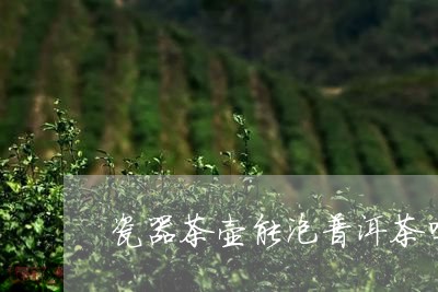 瓷器茶壶能泡普洱茶吗/2023061850695