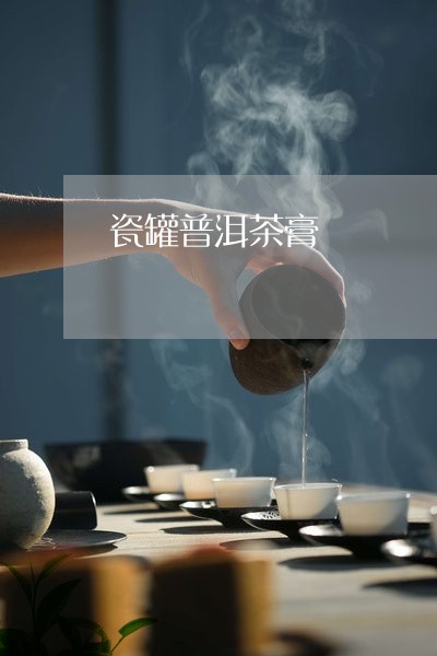 瓷罐普洱茶膏/2023042681703