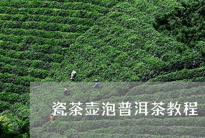 瓷茶壶泡普洱茶教程/2023120532713