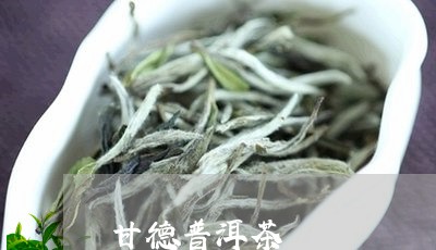 甘德普洱茶/2023090551626