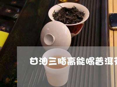 甘油三脂高能喝普洱茶/2023062270581