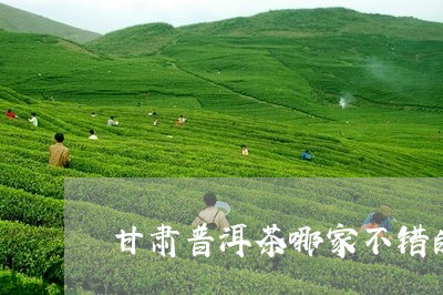 甘肃普洱茶哪家不错的/2023062964069