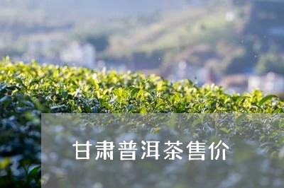 甘肃普洱茶售价/2023121862704