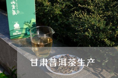 甘肃普洱茶生产/2023121861503