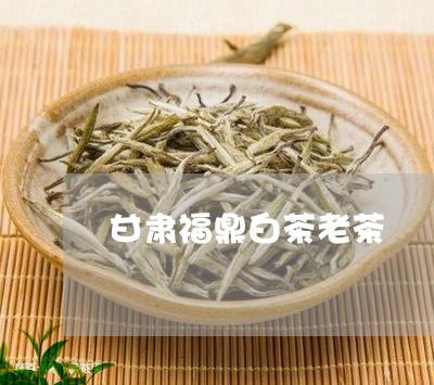 甘肃福鼎白茶老茶/2023090594825