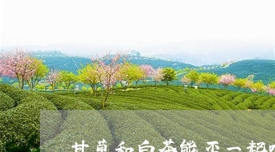 甘草和白茶能否一起喝/2023063073848