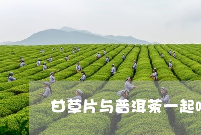 甘草片与普洱茶一起喝/2023120759480