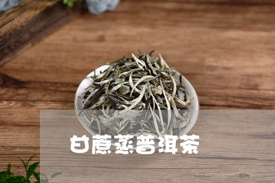 甘蔗蒸普洱茶/2023042709866