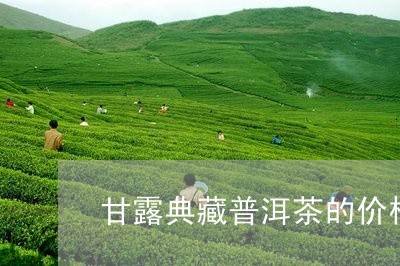 甘露典藏普洱茶的价格/2023062503848