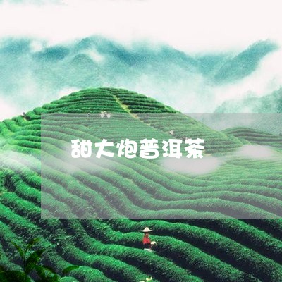 甜大炮普洱茶/2023112676378