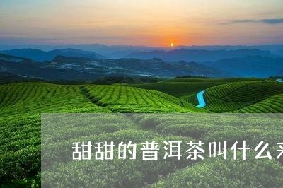 甜甜的普洱茶叫什么来着/2023121896258