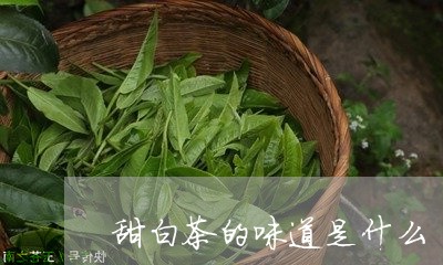 甜白茶的味道是什么/2023072165237