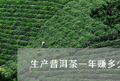 生产普洱茶一年赚多少/2023061644926