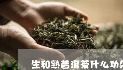 生和熟普洱茶什么功效/2023062022705