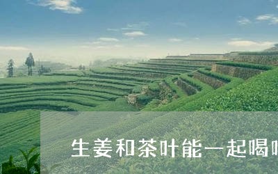 生姜和茶叶能一起喝吗/2023061174250